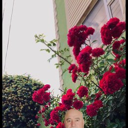 , 60, 