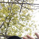 ���� Ivan, ����������������, 36 ��� - ��������� 10 ��� 2026 � ������ ���� ����������
