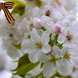 ���������, �����, 48 ���