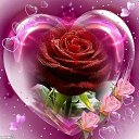 ���� �����, ������ - ��������� 5 ������ 2025 � ������ ������ ��������