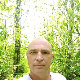, 46 , 