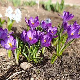 ����, �����, 33 ����