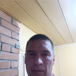 , 34, 