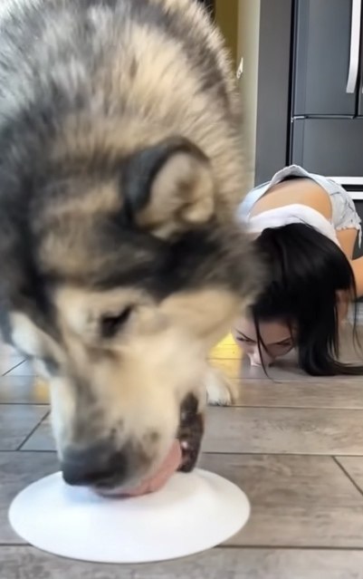  ! - 2