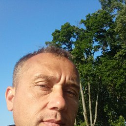 , 37, 