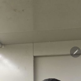 , 53, 