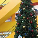 ���� ������, ������ - ��������� 17 ������ 2026 � ������ ���� ����������