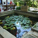 ���� �������, ������, 60 ��� - ��������� 23 ������� 2025 � ������ ������-������������� ��������� � ���������