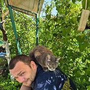 �������, 41 ���, ������