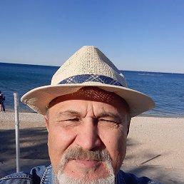 , 65, 