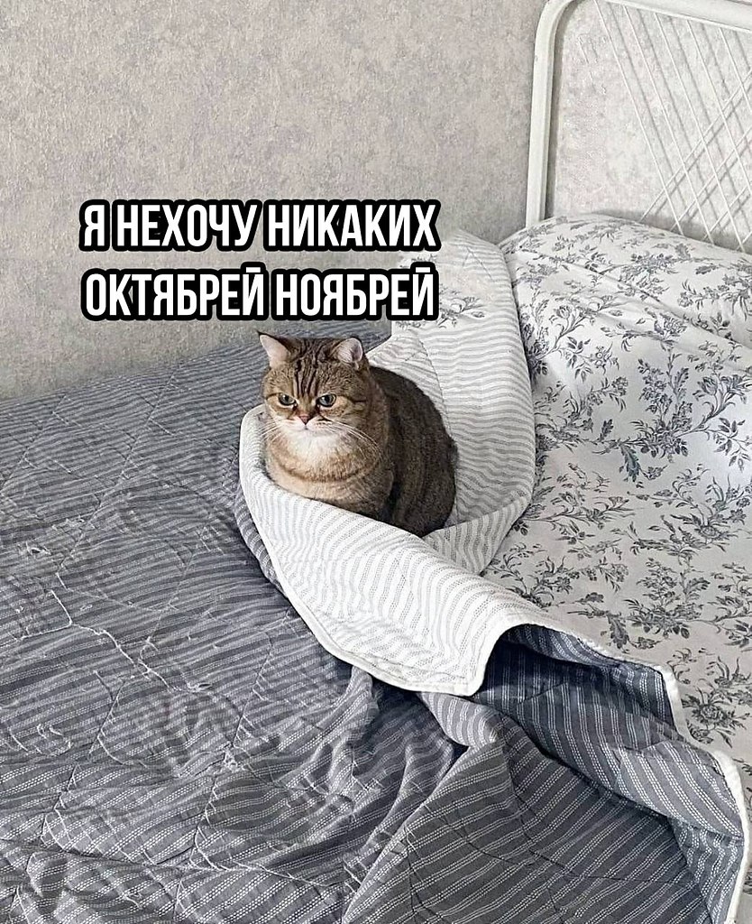  - 3  2025  14:58