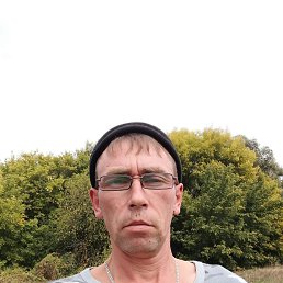 , 41, 