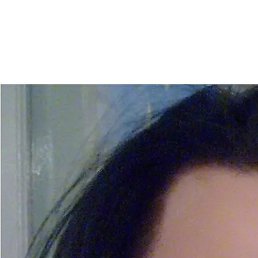 ���������, �������, 40 ���