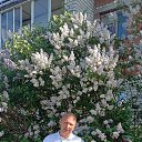 ���� ����, ������������, 51 ��� - ��������� 7 ������ 2024