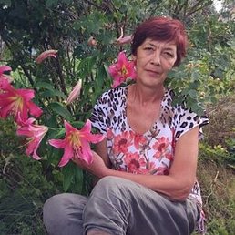 �����, ������, 66 ���