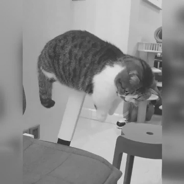 ��� ����� �� �������, ��� ��� �����������, � ���������, ��� ��������� - 2