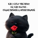 ���� ��������, ������������ - ��������� 23 ����� 2026 � ������ ���� ����������