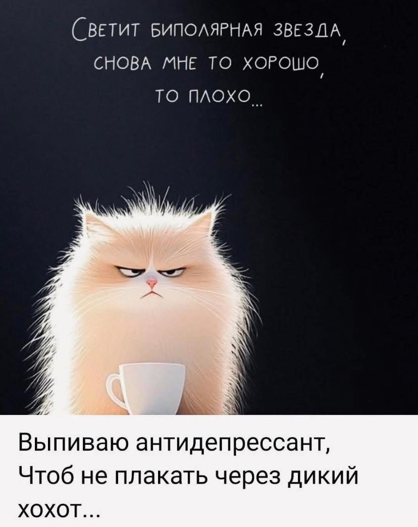   - 8  2025  09:15