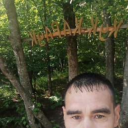 , 42, 
