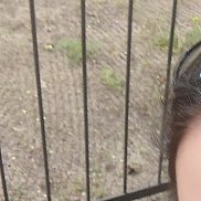 Алёна, 42 года, Воронеж Алёна, 42 года, Воронеж