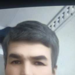, 40, 