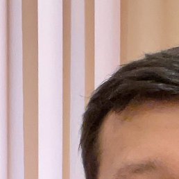 Amir, �������, 39 ���