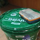 ���� �����, �����-���������, 46 ��� - ��������� 7 ��� 2025