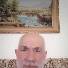, 66 , 