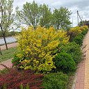 ���� ����, ���������� - ��������� 6 ������� 2024 � ������ ���� ����������