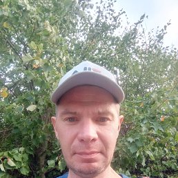 ���� ����, ����������, 43 ���� - ��������� 1 �������� 2024