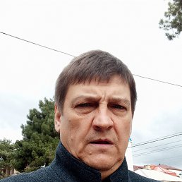 , 52, 