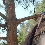 ����, 44 ����, ������