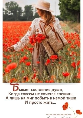   ,    . - 7  2025  15:54