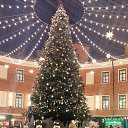 ���� ������, �����-���������, 58 ��� - ��������� 12 ������ 2026