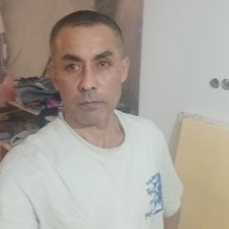 ����, 49 ���, ������