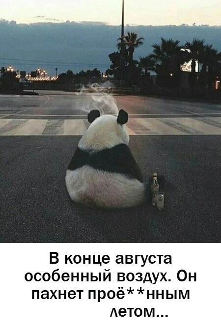 ***Victoria Viktorovna*** - 27  2024  04:39