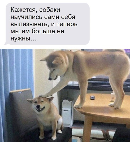    - 2  2025  00:27