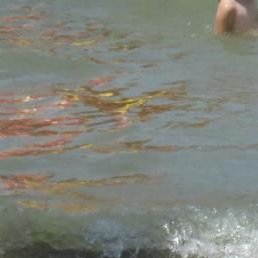 ������, ���, 58 ���