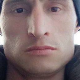 , 37, 
