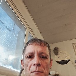 ���� �������, 40 ���, �����