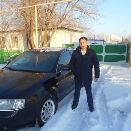Nicolai, ������, 51 ���
