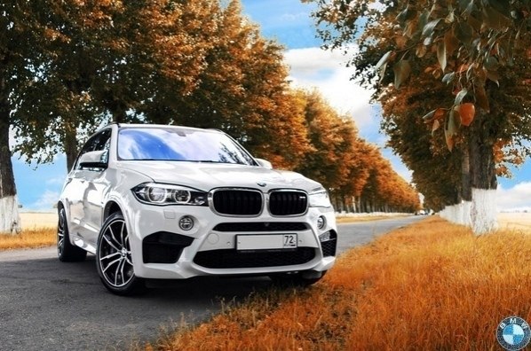 BMW X5M (F85). BMW