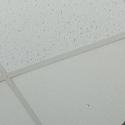 ����, 19 ���, ����