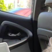 ������, 25 ���, �������