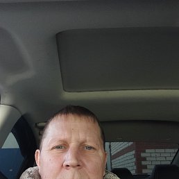 ��������, 46 ���, ������