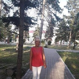 ������, ����������