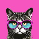 ���� ����, �����-��������� - ��������� 14 ������ 2026