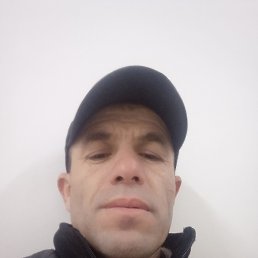 , 52, 