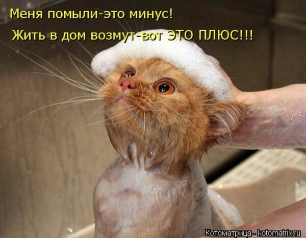 - 7  2025  15:31
