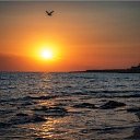 ���� �����, ���������, 28 ��� - ��������� 21 ������ 2025 � ������ ���� ����������